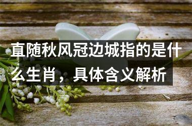 直随秋风冠边城指的是什么生肖,具体含义解析