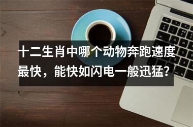 <h3>十二生肖中哪个动物奔跑速度最快，能快如闪电一般迅猛？