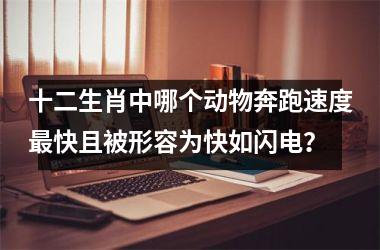 <h3>十二生肖中哪个动物奔跑速度最快且被形容为快如闪电？
