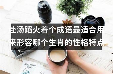 <h3>赴汤蹈火着个成语最适合用来形容哪个生肖的性格特点