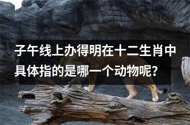 子午线上办得明在十二生肖中具体指的是哪一个动物呢？
