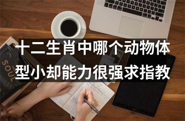 <h3>十二生肖中哪个动物体型小却能力很强求指教