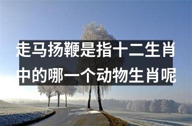 <h3>走马扬鞭是指十二生肖中的哪一个动物生肖呢