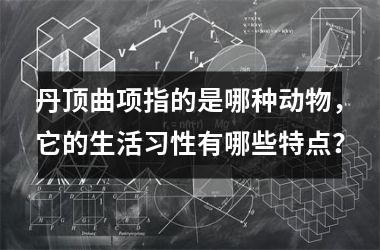 <h3>丹顶曲项指的是哪种动物，它的生活习性有哪些特点？