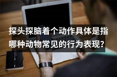 <h3>探头探脑着个动作具体是指哪种动物常见的行为表现?