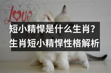 <h3>短小精悍是什么生肖? 生肖短小精悍性格解析