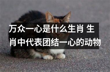 <h3>万众一心是什么生肖 生肖中代表团结一心的动物