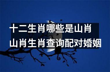 <h3>十二生肖哪些是山肖 山肖生肖查询配对婚姻