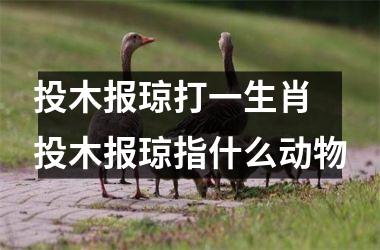 投木报琼打一生肖 投木报琼指什么动物