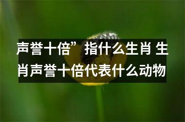 声誉十倍”指什么生肖 生肖声誉十倍代表什么动物