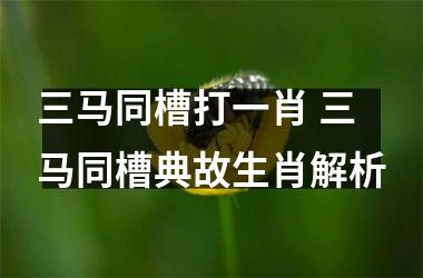 <h3>三马同槽打一肖 三马同槽典故生肖解析