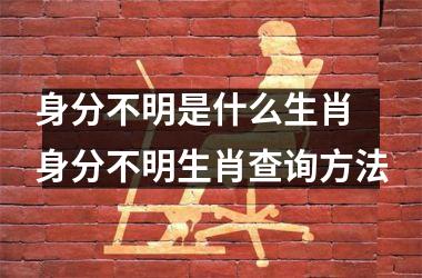 身分不明是什么生肖 身分不明生肖查询方法