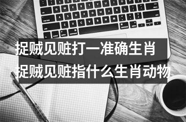 <h3>捉贼见赃打一准确生肖 捉贼见赃指什么生肖动物