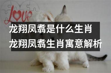 <h3>龙翔凤翥是什么生肖 龙翔凤翥生肖寓意解析