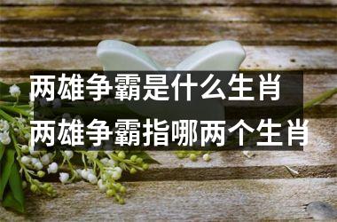 <h3>两雄争霸是什么生肖 两雄争霸指哪两个生肖