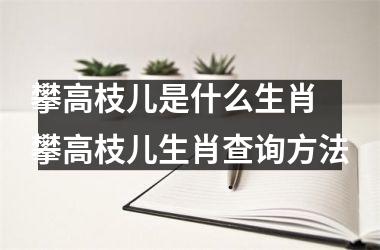 攀高枝儿是什么生肖 攀高枝儿生肖查询方法