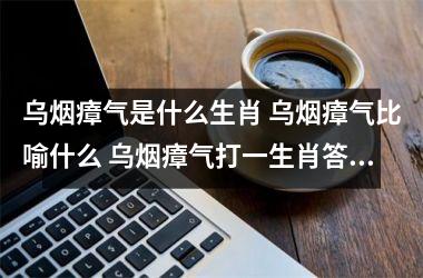 <h3>乌烟瘴气是什么生肖 乌烟瘴气比喻什么 乌烟瘴气打一生肖答案