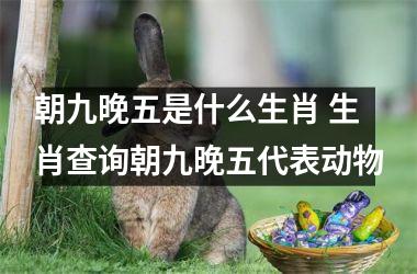 <h3>朝九晚五是什么生肖 生肖查询朝九晚五代表动物