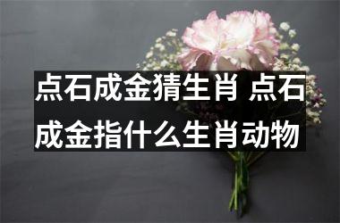 <h3>点石成金猜生肖 点石成金指什么生肖动物