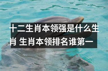 <h3>十二生肖本领强是什么生肖 生肖本领排名谁第一