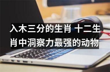 <h3>入木三分的生肖 十二生肖中洞察力最强的动物