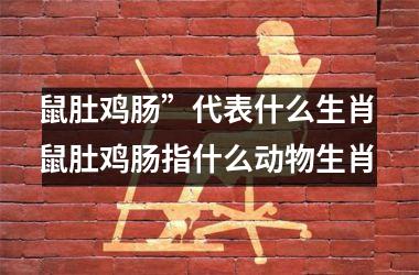 <h3>鼠肚鸡肠”代表什么生肖 鼠肚鸡肠指什么动物生肖