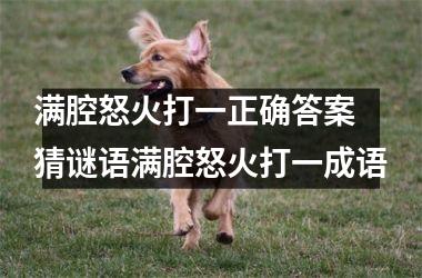 <h3>满腔怒火打一正确答案 猜谜语满腔怒火打一成语