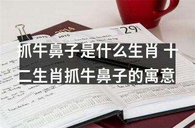 <h3>抓牛鼻子是什么生肖 十二生肖抓牛鼻子的寓意