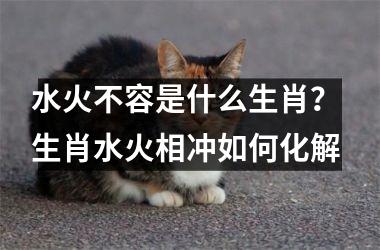 <h3>水火不容是什么生肖？ 生肖水火相冲如何化解