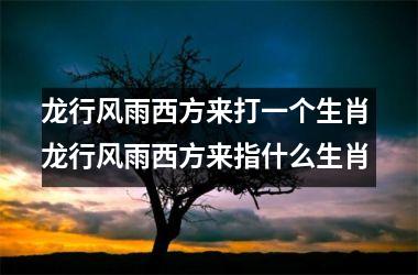 <h3>龙行风雨西方来打一个生肖 龙行风雨西方来指什么生肖