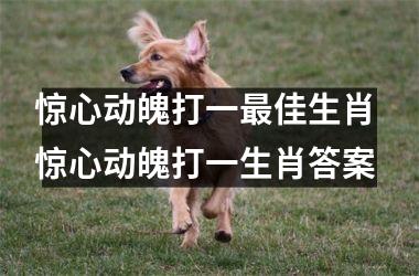 <h3>惊心动魄打一最佳生肖 惊心动魄打一生肖答案