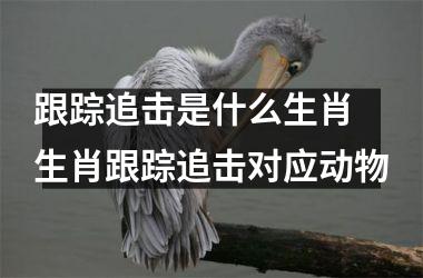 <h3>跟踪追击是什么生肖 生肖跟踪追击对应动物