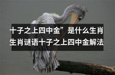 <h3>十子之上四中金”是什么生肖 生肖谜语十子之上四中金解法