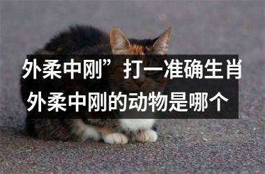 <h3>外柔中刚”打一准确生肖 外柔中刚的动物是哪个