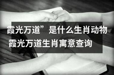 <h3>霞光万道”是什么生肖动物 霞光万道生肖寓意查询