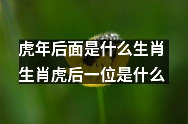 <h3>虎年后面是什么生肖 生肖虎后一位是什么
