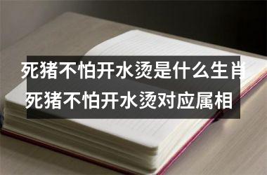 <h3>死猪不怕开水烫是什么生肖 死猪不怕开水烫对应属相