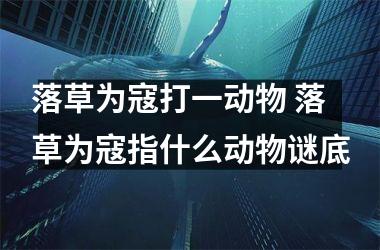 <h3>落草为寇打一动物 落草为寇指什么动物谜底