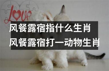 <h3>风餐露宿指什么生肖 风餐露宿打一动物生肖