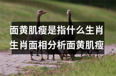<h3>面黄肌瘦是指什么生肖 生肖面相分析面黄肌瘦
