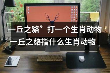 <h3>一丘之貉”打一个生肖动物 一丘之貉指什么生肖动物