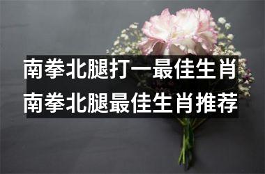 <h3>南拳北腿打一最佳生肖 南拳北腿最佳生肖推荐