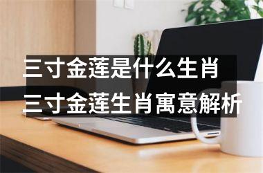 <h3>三寸金莲是什么生肖 三寸金莲生肖寓意解析