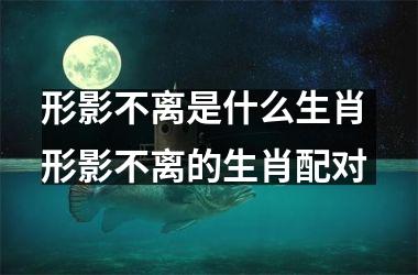 <h3>形影不离是什么生肖 形影不离的生肖配对