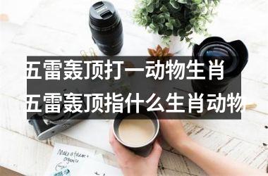 <h3>五雷轰顶打一动物生肖 五雷轰顶指什么生肖动物