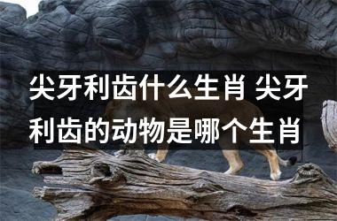 <h3>尖牙利齿什么生肖 尖牙利齿的动物是哪个生肖