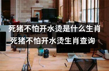 <h3>死猪不怕开水烫是什么生肖 死猪不怕开水烫生肖查询