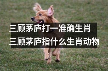 <h3>三顾茅庐打一准确生肖 三顾茅庐指什么生肖动物