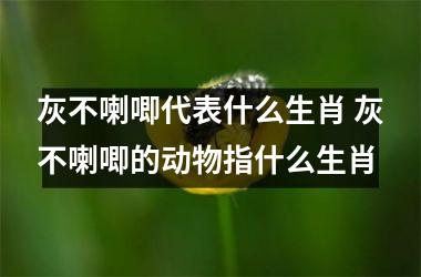 <h3>灰不喇唧代表什么生肖 灰不喇唧的动物指什么生肖