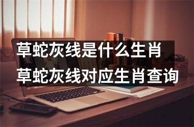 <h3>草蛇灰线是什么生肖 草蛇灰线对应生肖查询